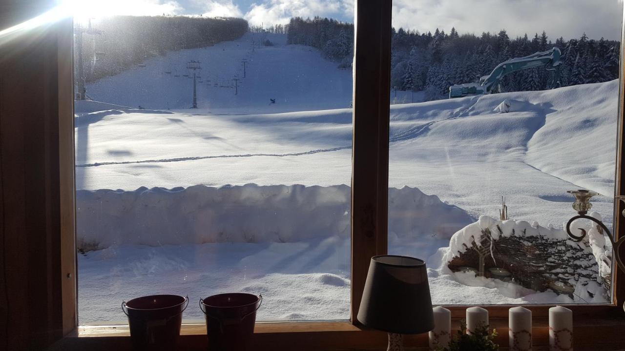 Pensjonat Laworta Ski Ustrzyki Dolne Εξωτερικό φωτογραφία